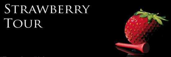Logo_Strawberry Tour