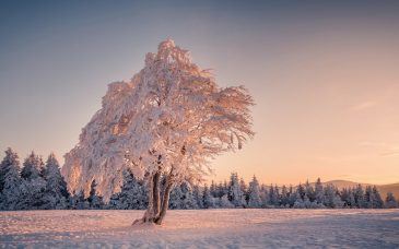 winter-001