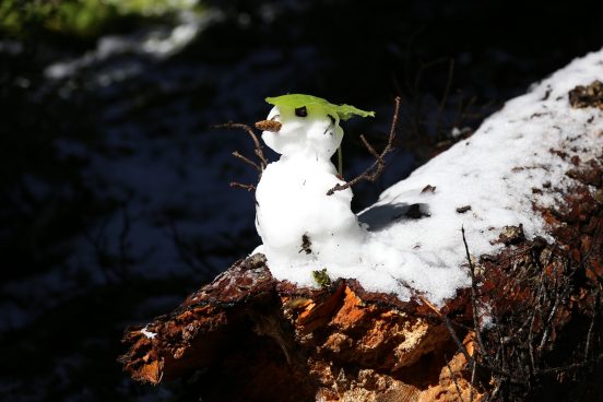 schneemann