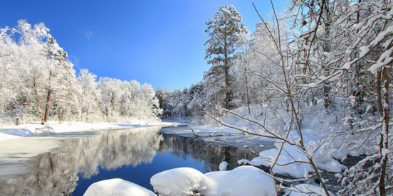 Winter Landschaft